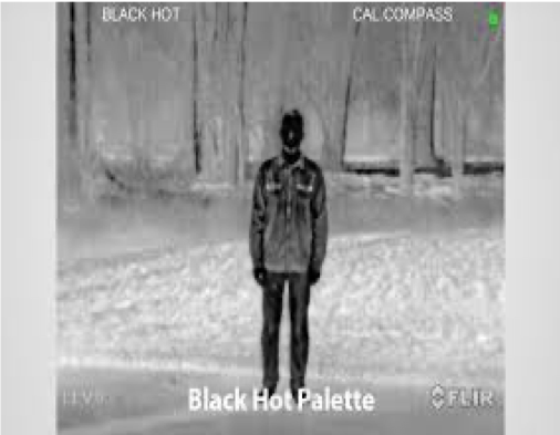 black hot FLIR